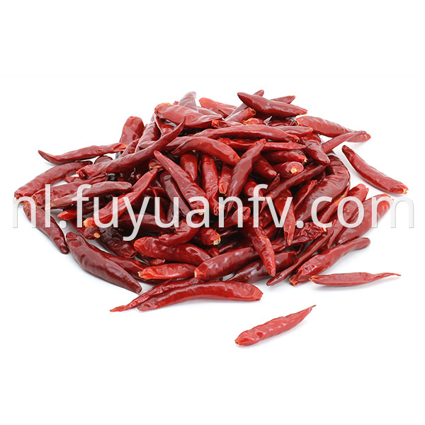 Hot Spicy Chaotian Chili
